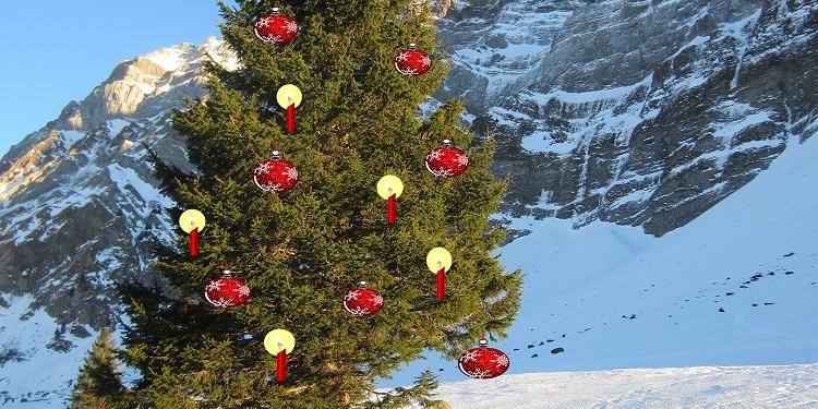 Weihnachtsbaum_Schwaegalp